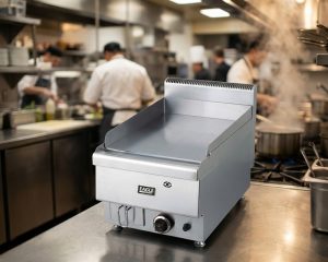 bep-chien-phang-don-dung-gas-eagle-gft1-40