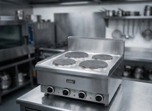 bep-au-4-hong-dung-dien-eagle-er4-60